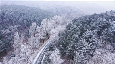 春雨直播app
